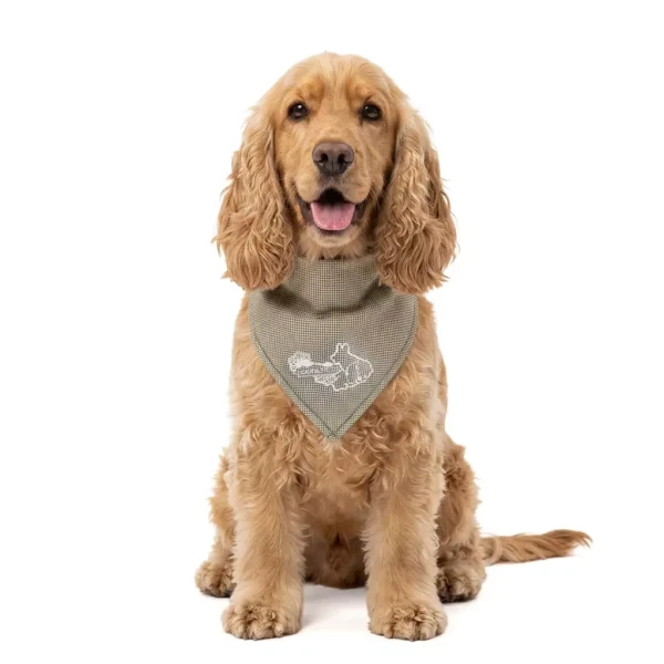 CoolPets Cooling Bandana Beige hűsítő kendő kutyák számára M